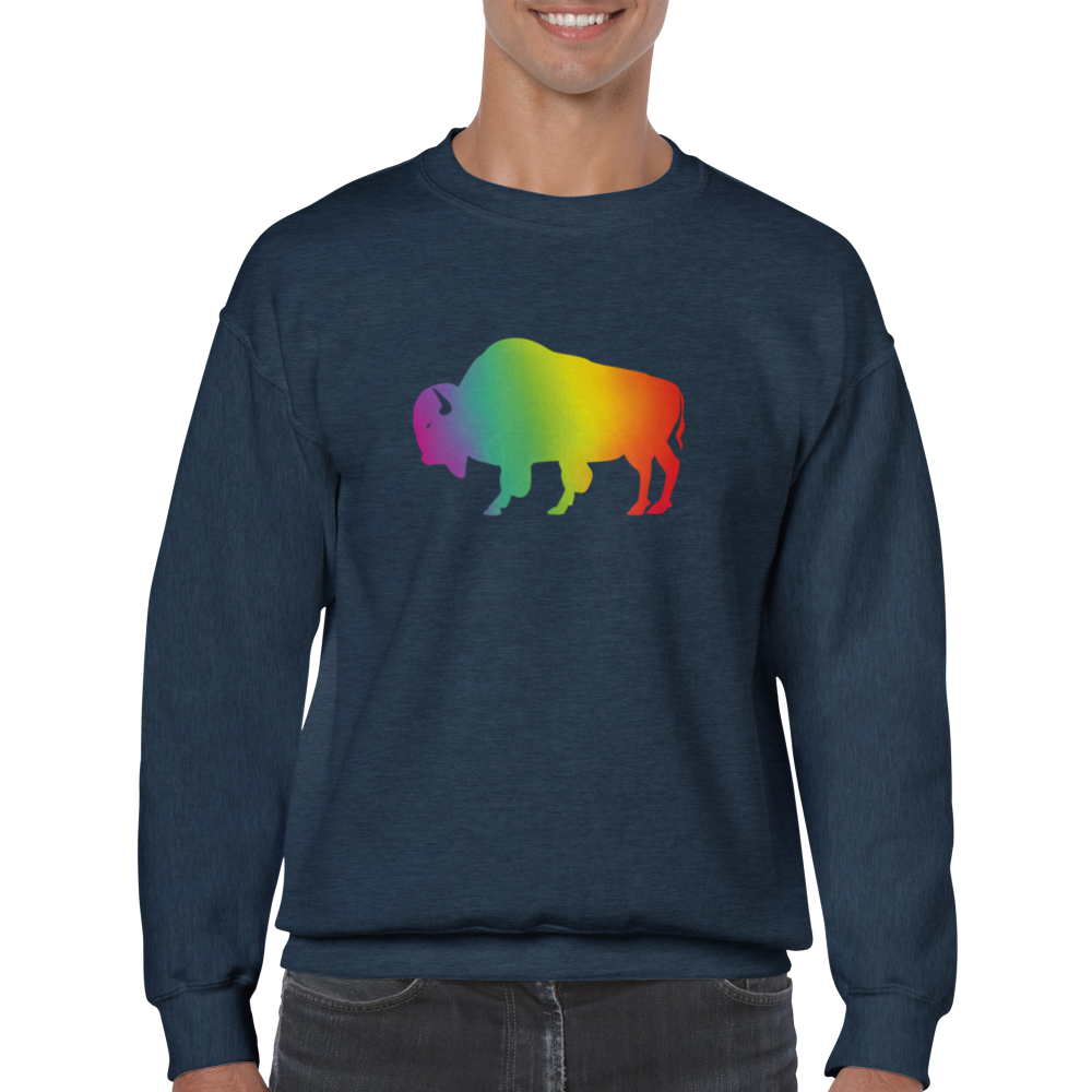 Ally Gradient Rainbow Buffalo Sweatshirt – Sioux Falls Pride